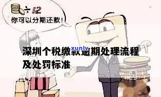 深圳附加税逾期怎么办手续？全流程、政策及税率详解