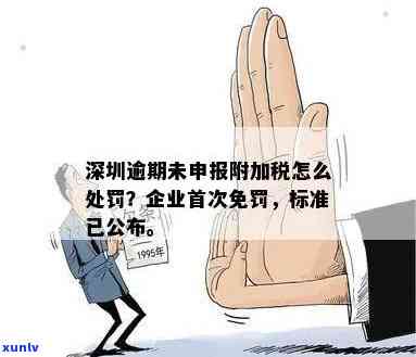 深圳附加税逾期怎么办手续？全流程、政策及税率详解