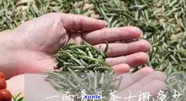 一两茶叶大概有多少，茶叶新手指南：一两茶叶到底有多少？