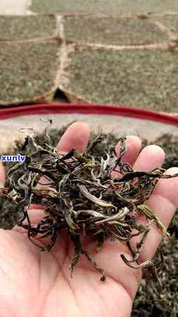 老班章茶饼2008价格：历与现在的参考