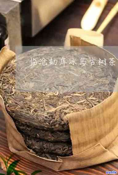 冰岛勐库木茶特点-勐库冰岛古树茶价格