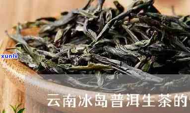 临沧冰岛生茶的特点-云南临沧冰岛茶的特点