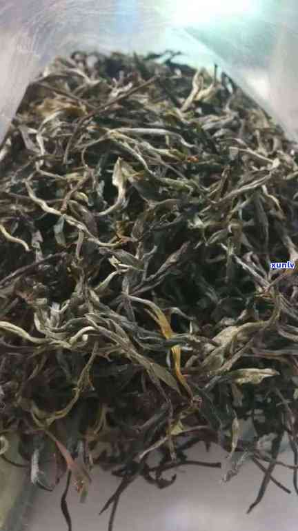 云南冰岛古树茶功效-云南冰岛古树茶多少钱一斤