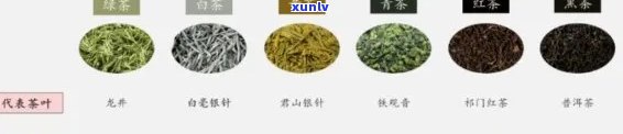 茶叶种类价格排名，茶叶种类价格排名大揭秘：哪种茶叶最贵，哪种最划算？