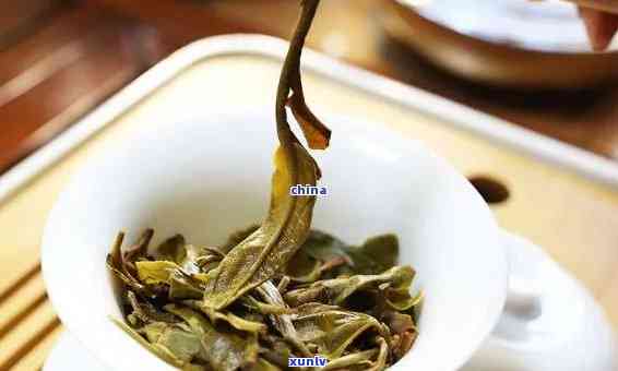 和冰岛口感相似的茶是什么茶？探究其类别与特点