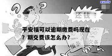 平安保险逾期交费会怎么样，平安保险：逾期交费的后果是什么？