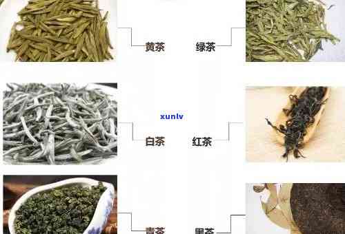 荷意是什么茶叶？探究荷意茶叶的种类、含义、功效及寓意