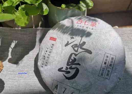 冰岛小饼茶价格表：了解200g小饼普洱茶在各网站的价格走势与市场行情