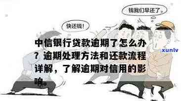 中信银行逾期补救要求，如何处理中信银行逾期：补救要求与步骤