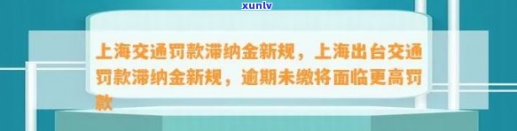 上海有滞纳金吗，上海是否会产生滞纳金？你需要知道的一切