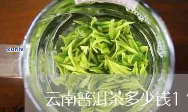 南山滴翠茶叶多少钱-南山滴翠茶叶多少钱一斤