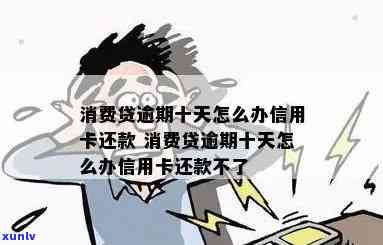 消费贷逾期了不能支用-消费贷逾期了不能支用怎么办