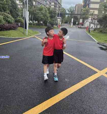 运之星茶是什么茶，揭开神秘面纱：详解运之星茶的种类与特点