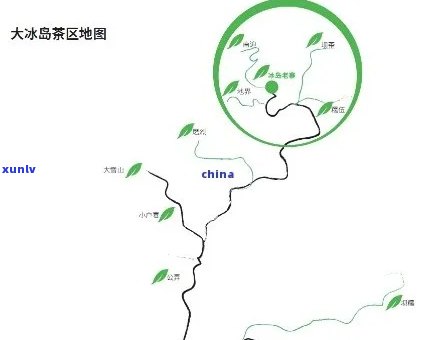 冰岛茶的产区，揭示冰岛茶的真正魅力：探寻其产区