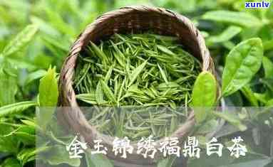 锦绣金玉茶叶多少钱-锦绣金玉茶叶多少钱一盒