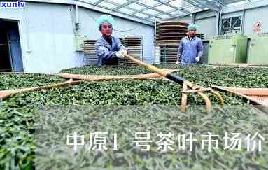 中原一号毛尖茶价格，了解中原一号毛尖茶的价格信息！