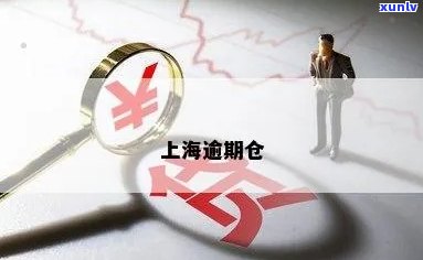 上海个人仓库逾期拍卖公告，紧急通知：上海个人仓库逾期拍卖即将进行，请尽快处理