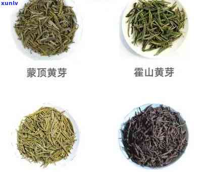 露茗飘雪茶叶价格查询：多少钱一斤？