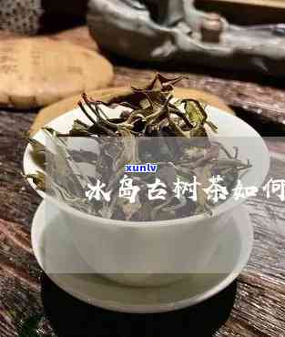 冰岛古树茶存放多久，冰岛古树茶的保存期限是多久？