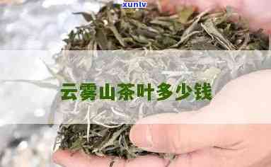 高山云雾茶叶多少钱一盒，探究高山云雾茶叶的价格：一盒要多少钱？