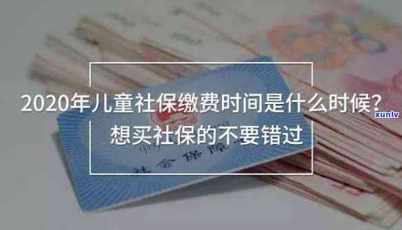 上海少儿医保补缴：2023年最晚时间及流程，需等待3个月才能使用