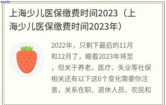 上海少儿医保补缴：2023年最晚时间及流程，需等待3个月才能使用