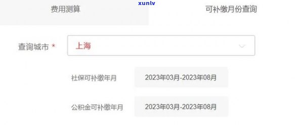 上海少儿医保补缴：2023年最晚时间及流程，需等待3个月才能使用