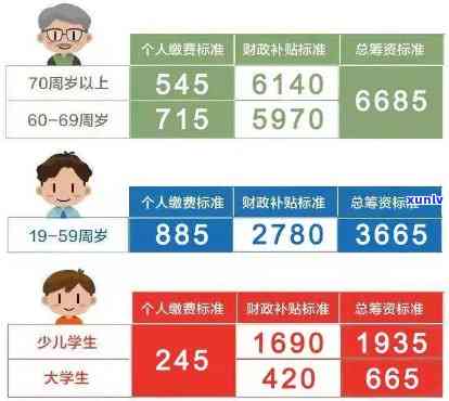 上海少儿医保补缴：2023年最晚时间及流程，需等待3个月才能使用