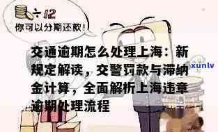 上海逾期新规定：解读、最新、处罚及滞纳金问题