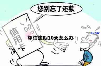 中信逾期10天严重吗-中信逾期10天严重吗怎么办