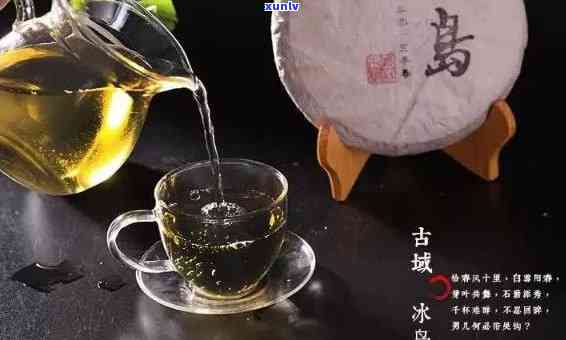 冰岛古树茶：品种、及功效解析，哪个口味更胜一筹？