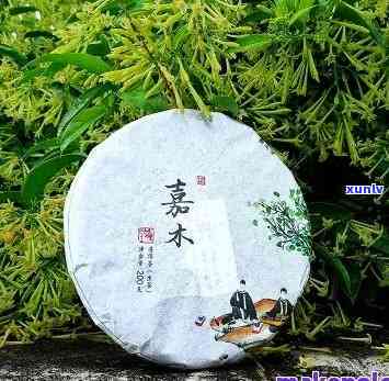 嘉木忘言茶叶多少钱-嘉木忘言茶叶多少钱一斤啊