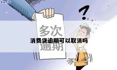 日饮用生普洱茶：好处、适宜时间与注意事项一览无遗