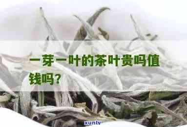 一枝一叶茶叶多少钱-一枝一叶茶叶多少钱一盒