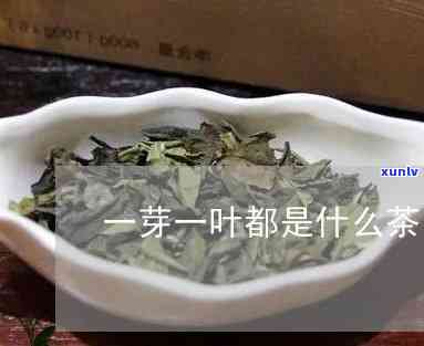 一枝一叶茶叶多少钱-一枝一叶茶叶多少钱一盒