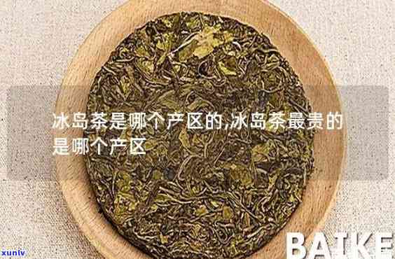 冰岛秘境古树茶价格：生茶、普洱多少钱一斤/盒？地理位置在哪里？