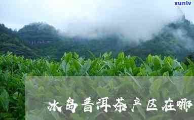 冰岛茶核心区有多少-冰岛茶核心产区