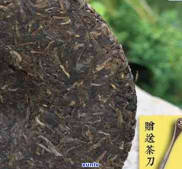 布朗砖王茶叶多少钱-布朗砖王茶叶多少钱一斤