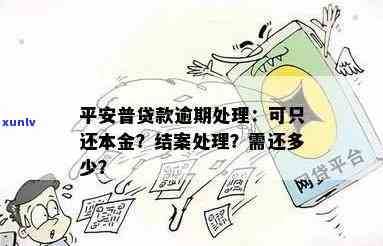 平安金所不想还了，平安金所借款：是否应该继续偿还？