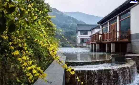 山嘉茗民宿，品味山水间的静，探寻山嘉茗民宿的魅力