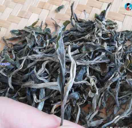 冰岛地界古树茶口感特点：十年后依旧醇厚，糯茶香独特，地界特色明，介绍冰岛地界茶，含义解读，普洱茶口感深度解析