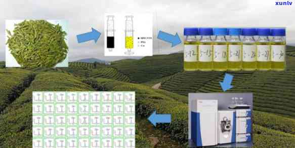 茶叶农残检测多少钱-茶叶农残检测多少钱一次