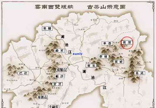 澜沧古茶在云南的地位，探秘云南茶叶王国：澜沧古茶的独特地位