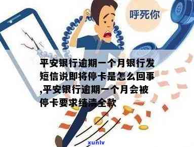 平安银行逾期一个月会停卡吗？可能的影响及解决办法