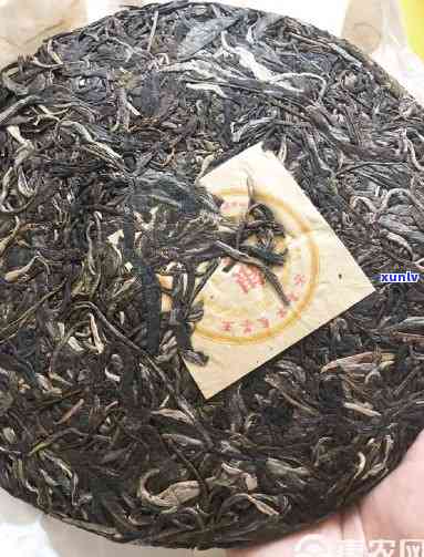 云南七子冰岛普洱茶价格：2012年古树甜口生茶全解析