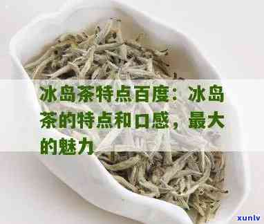 冰岛茶的特点及功效，探秘冰岛茶的独特魅力：特点与功效解析