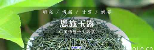 茶叶恩玉露多少钱一斤，了解恩玉露的价格：茶叶每斤售价多少？