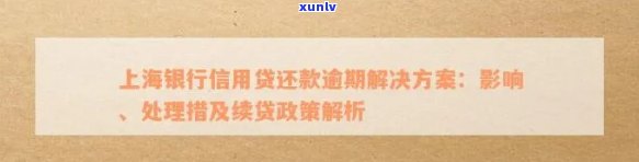 上海银行协商还款政策及流程： *** 、本金、材料、证明全解析