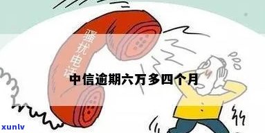 中信逾期五千九个月了-中信逾期五千九个月了怎么办