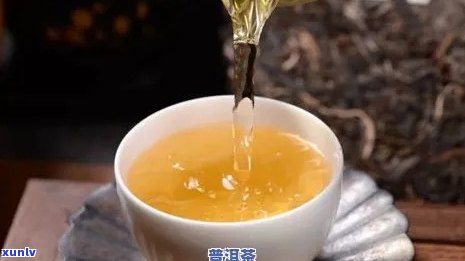 小冰岛茶是什么意思？从产地、品种到价格全解析